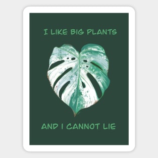 Big Plants Magnet